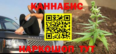 индика Краснокаменск