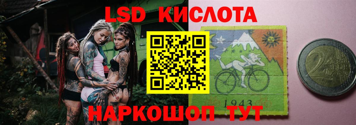 Псилоцибиновые грибы Карпинск