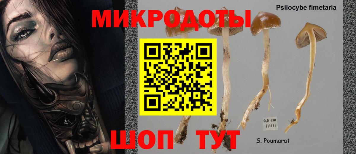 Галлюциногенные грибы Magic Shrooms  Вход с VPN  Карпинск 